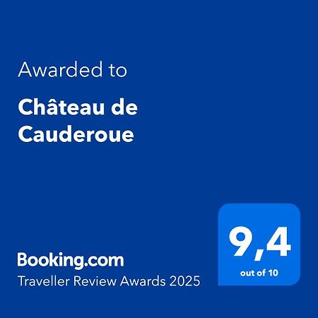 Chateau De Cauderoue Nérac Exteriör bild