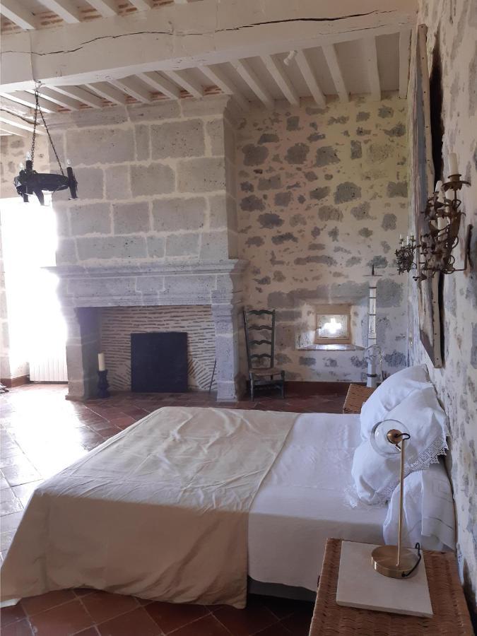 Chateau De Cauderoue Nérac Exteriör bild