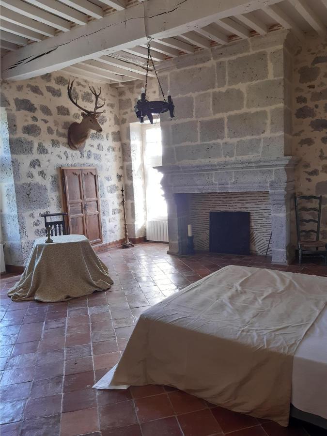 Chateau De Cauderoue Nérac Exteriör bild