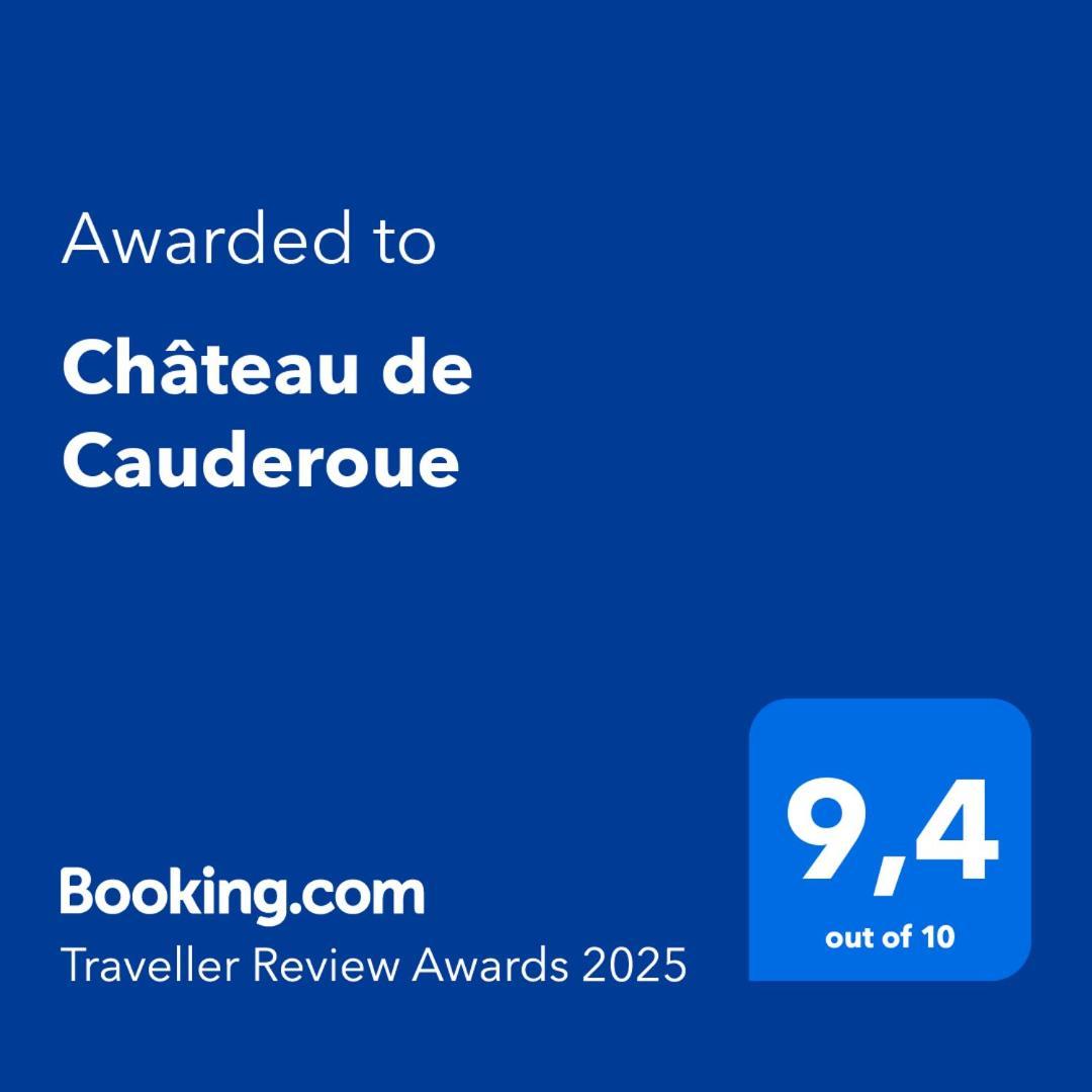 Chateau De Cauderoue Nérac Exteriör bild